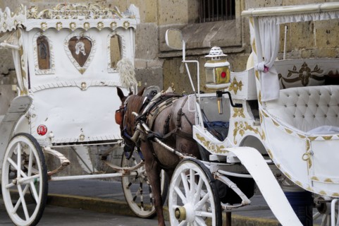 Mexico, Jalisco, Guadalajara, White and gold painted horse drawn tourist carriages queue in line on