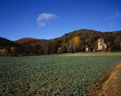 England, Hereford and Worcester, Malvern Hills, View across field with brassica crop towards Little