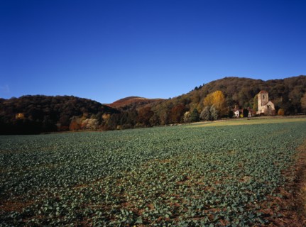 England, Hereford and Worcester, Malvern Hills, View across field and brassica crop towards Little