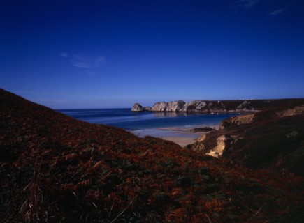 France, Bretagne, Crozon Peninsula, Pointe de Penhir from above Veryach Beach with braken covered