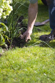 Gardening, Gardener