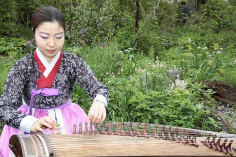Music, Instrument, Koto, Japanese woman in traditional clothing playing Koto Harp. Photo : Sean