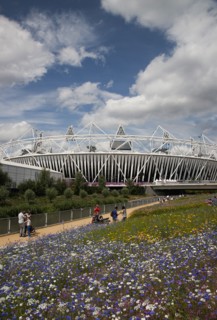 England, London, Stratford View of the 2012 Olympic Stadium with meadow planting in the foreground.