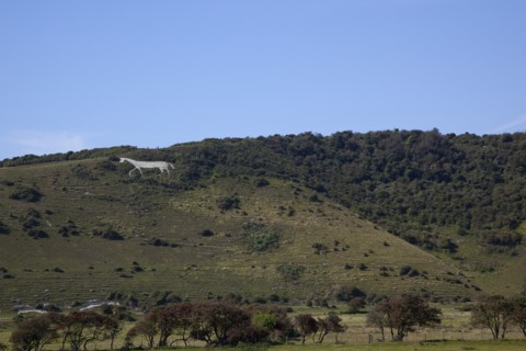 England, East Sussex, Litlington, The Cuckmere White Horse cut out of the chalk hills. Photo :