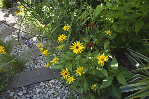 Plants, Garden, Urban garden with pebble path and railway sleepers. 
Photo Zhale Naoka Gibbs / Eye