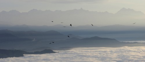 Nepal, Nagarkot, View across clouded Kathmandu valley towards Himalayan mountains birds of prey