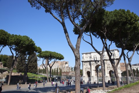 Italy, Lazio, Rome, The Arch of Constantine. 
Photo Stephen Rafferty / Eye Ubiquitous