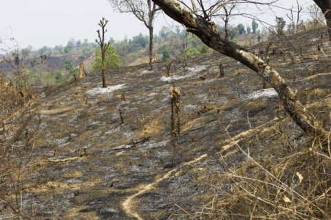 Bangladesh, Chittagong Division, Bandarban, Hillsides burned in the traditional slash and burn