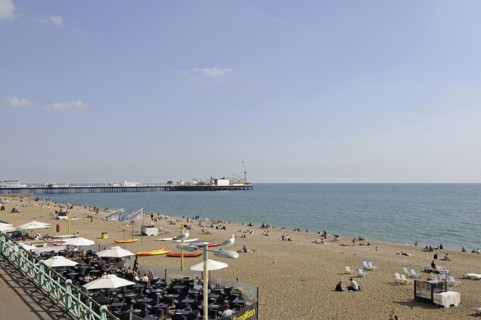 View of Seagulls with Brighton beach and Pier Brighton East Sussex England