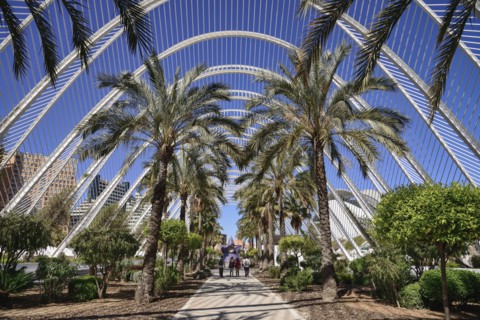 Spain, Valencia Province, Valencia, Spain, Valencia Province, Valencia, La Ciudad de las Artes y