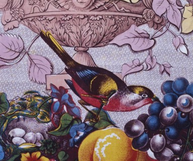 Audubon, Les oiseaux d'Amérique