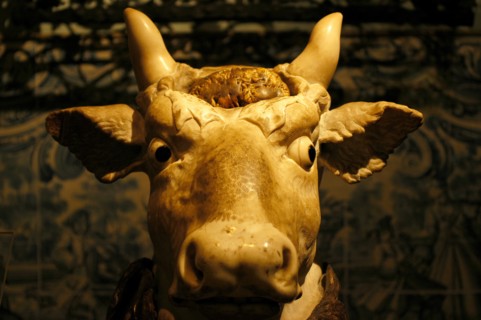 Tête de taureau