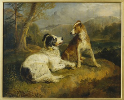 Landseer, Deux chiens