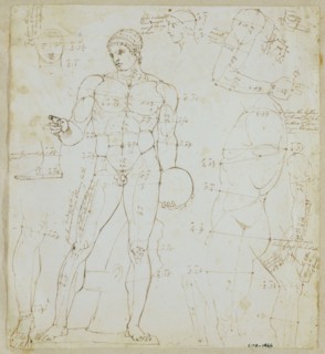 Deare, Croquis d'anatomie