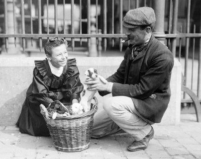 Marché aux chiens dans les rues de Bruxelles vers 1900