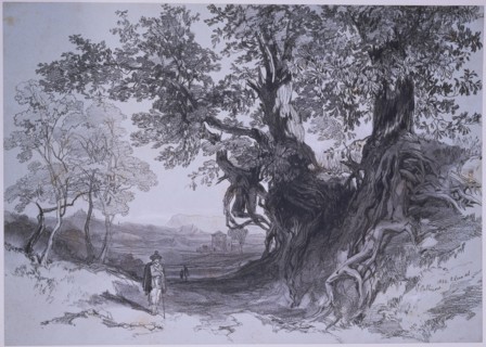 Lear, Paliano