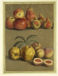 Walther, Pommes, poires, prunes et pêches