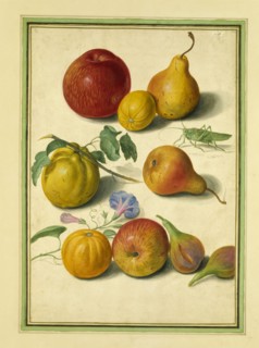 Walther, Pommes, poires, et figues