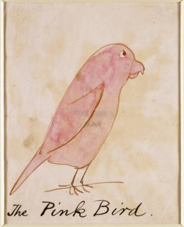 Lear, L'Oiseau rose