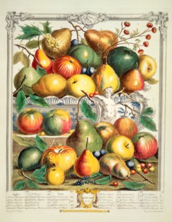 Furber, Les douze mois des Fruits : Janvier