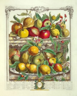 Furber, Les douze mois des Fruits : Avril
