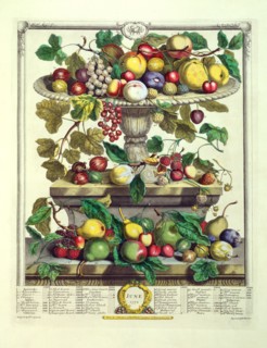 Furber, Les douze mois des Fruits : Juin