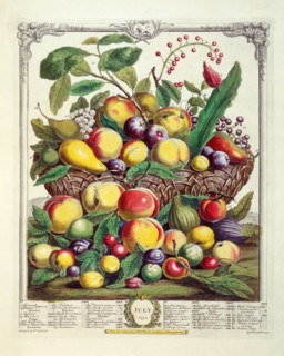 Furber, Les douze mois des Fruits : Juillet