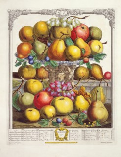 Furber, Les douze mois des Fruits : Décembre