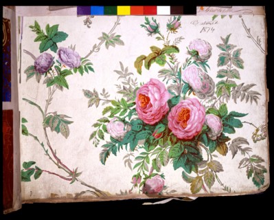 Papier peint à motif de roses et de cytises, Angleterre
