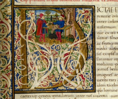 Initiale D