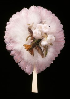 Circular feather fan. Brazil, 1880-1900