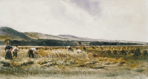 Harvest Field, by Peter de Wint. England, 19th century