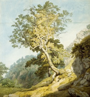 View near Camonteign, Devon, by John White Abbott. England, 1803