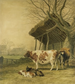 Alderney Cows and Calves, by Robert Hills. Britain, 1820