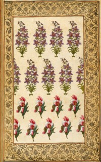 Textile design. India, 18th century