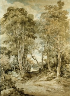 Wood Scene, by John Crome. England, early 19th century