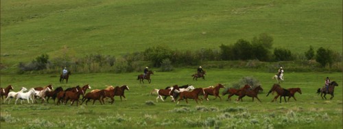 Group of cowboys moving a herd of horses in a valley near Sheridan, Wyoming.