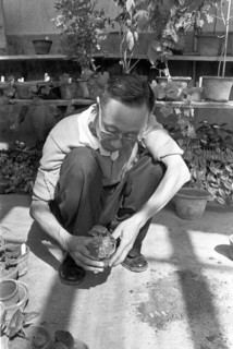 Pu Yi dans un jardin à Pékin, septembre 1961