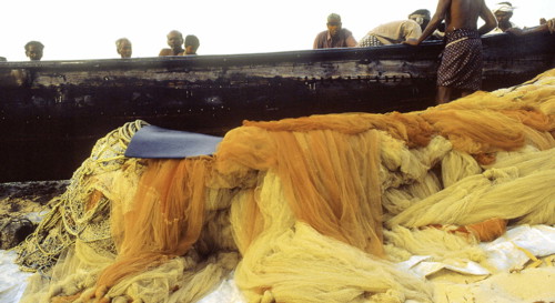 Filets de pêche, Kerala, India