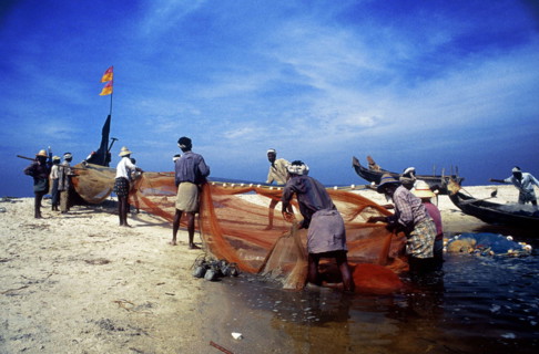 Fishermen landing their catch, Kerala, India.