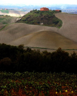 Paysage près de Sienne, Toscane, Italie.