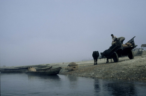 Transport de céréales sur la rivière Rapti, Parc National de Chitwan, au Népal