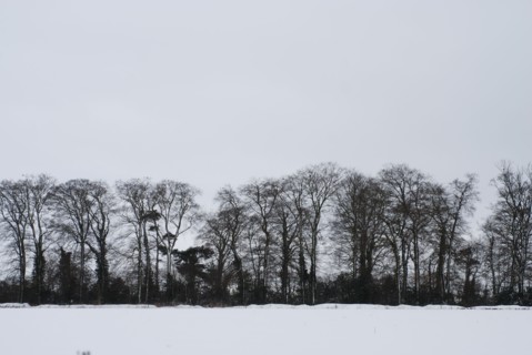 Paysage enneigé