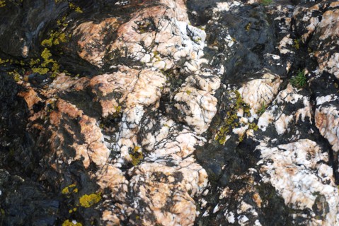Détail d'un rocher