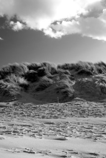 Réserve naturelle de Holme Dunes