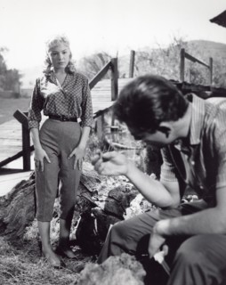 Sandra Dee