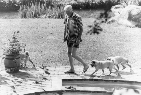 King Edward Viii