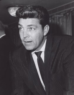 Dale Robertson