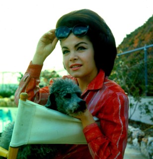Annette Funicello Flat Eric