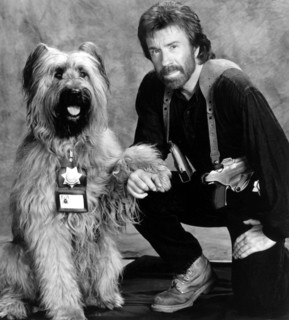 Chuck Norris Stills Ang